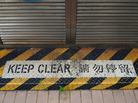 “代表通道”的追梦故事勾勒时代模样