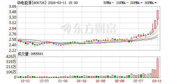 华电能源股价出现较大波动，沪股通资金净流出明显；龙虎榜席位交易活跃。