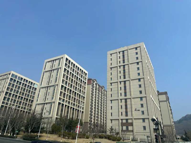 青岛地产人才迁徙图谱:行业重构期的职业生态深度解码 房产家居