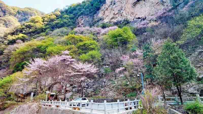 红河谷春日生态深度观察：一份来自山谷的自然观察笔记