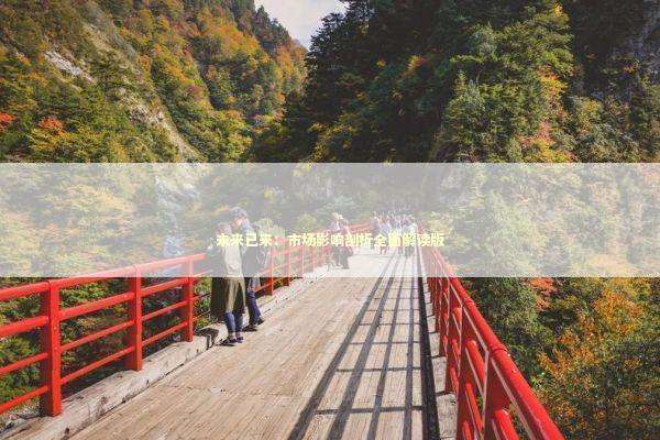 未来已来：市场影响剖析全面解读版
