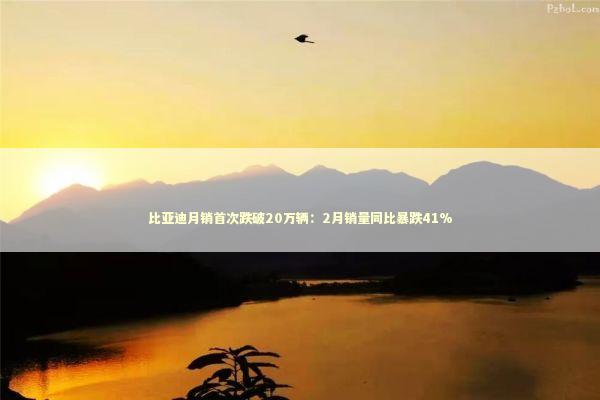 比亚迪月销首次跌破20万辆：2月销量同比暴跌41%