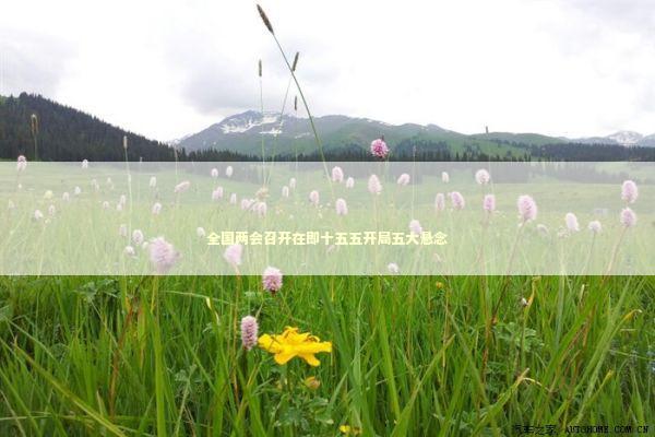 全国两会召开在即十五五开局五大悬念