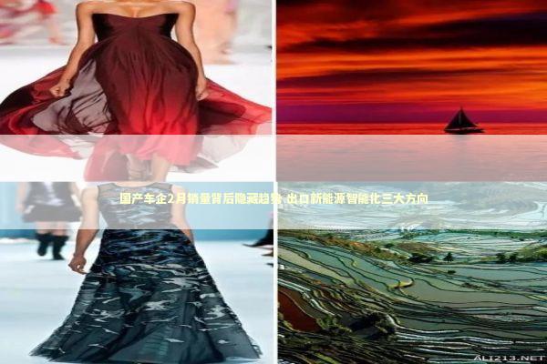 国产车企2月销量背后隐藏趋势 出口新能源智能化三大方向