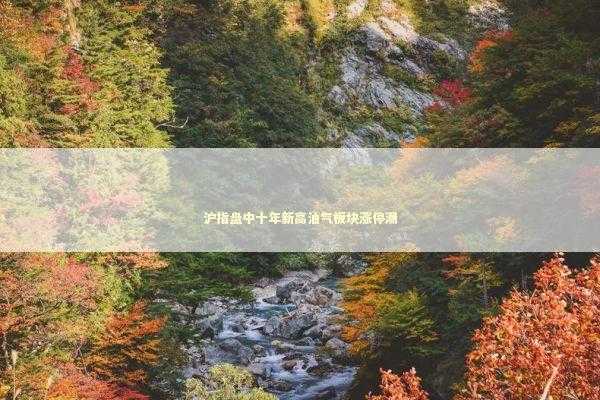 沪指盘中十年新高油气板块涨停潮