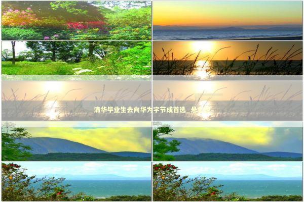 清华毕业生去向华为字节成首选_悬念型