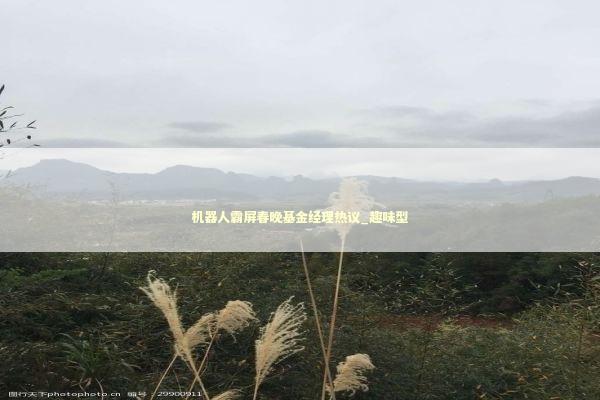 机器人霸屏春晚基金经理热议_趣味型