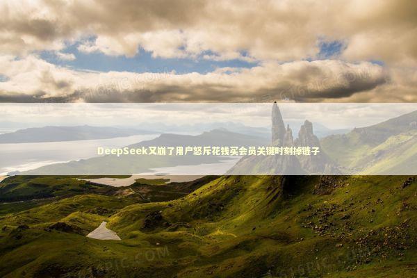DeepSeek又崩了用户怒斥花钱买会员关键时刻掉链子
