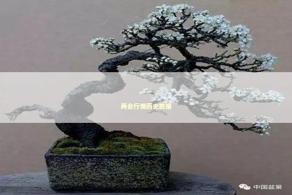 两会行情历史数据
