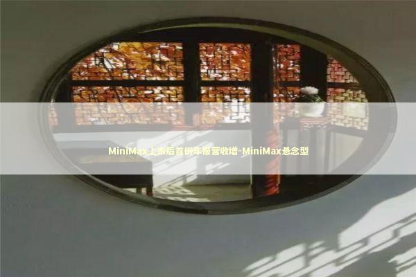 MiniMax上市后首份年报营收增-MiniMax悬念型