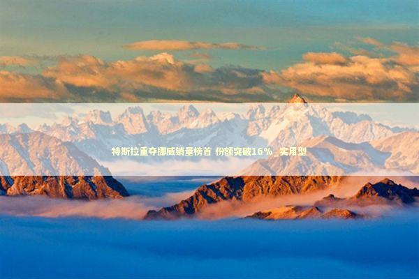 特斯拉重夺挪威销量榜首 份额突破16%_实用型