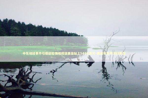 中东地缘事件引爆避险情绪现货黄金站上5400美元-黄金有色平淡叙事型