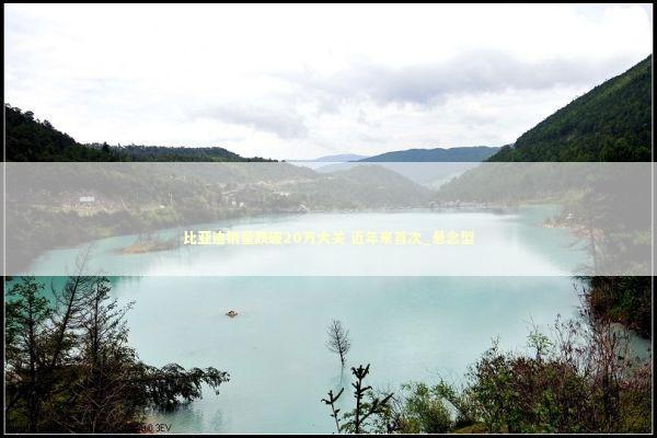 比亚迪销量跌破20万大关 近年来首次_悬念型