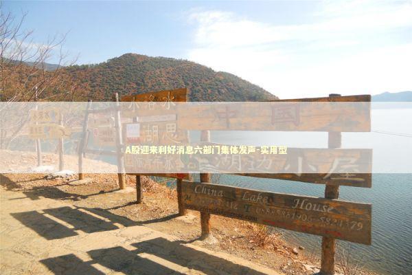 A股迎来利好消息六部门集体发声-实用型