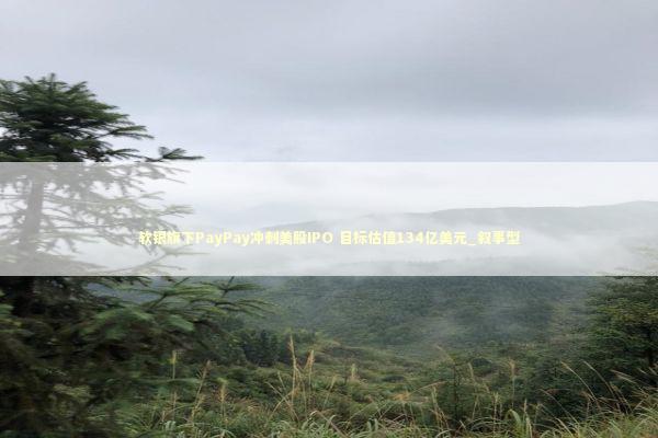 软银旗下PayPay冲刺美股IPO 目标估值134亿美元_叙事型