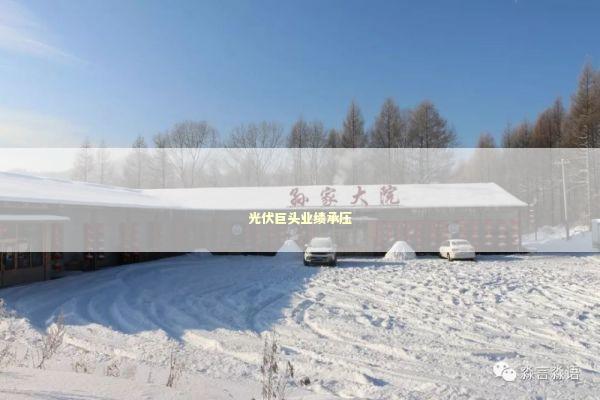 光伏巨头业绩承压
