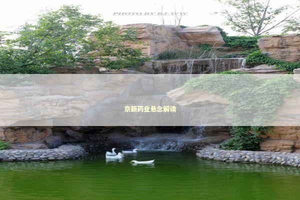 京新药业悬念解读