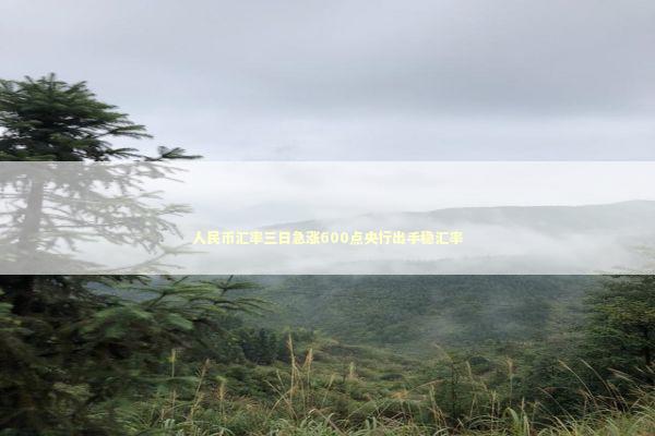 人民币汇率三日急涨600点央行出手稳汇率