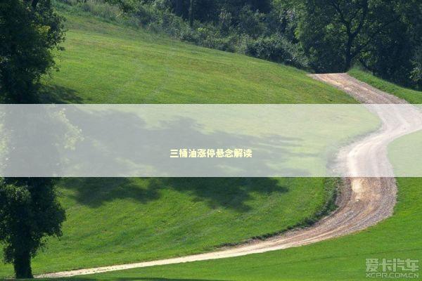 三桶油涨停悬念解读