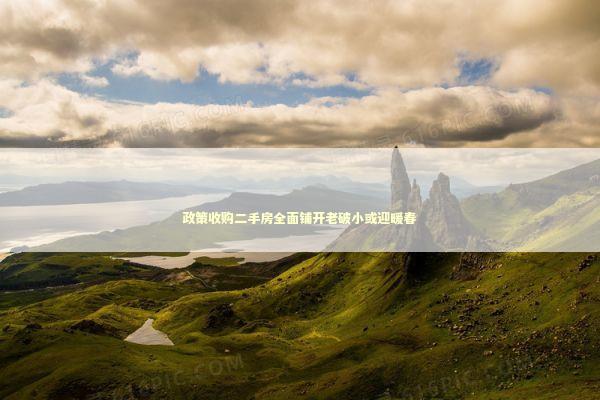 政策收购二手房全面铺开老破小或迎暖春