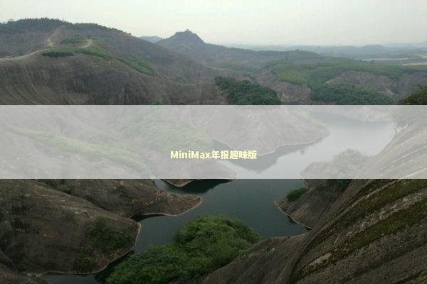 MiniMax年报趣味版