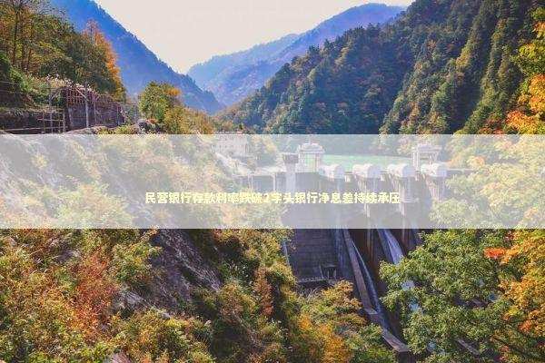 民营银行存款利率跌破2字头银行净息差持续承压
