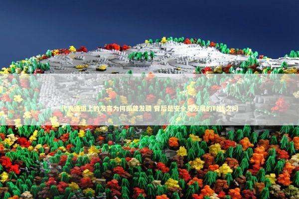 代表通道上的发言为何振聋发聩 背后是安全与发展的时代之问
