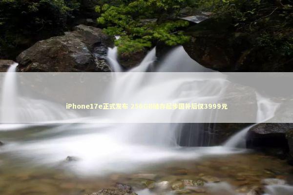 iPhone17e正式发布 256GB储存起步国补后仅3999元