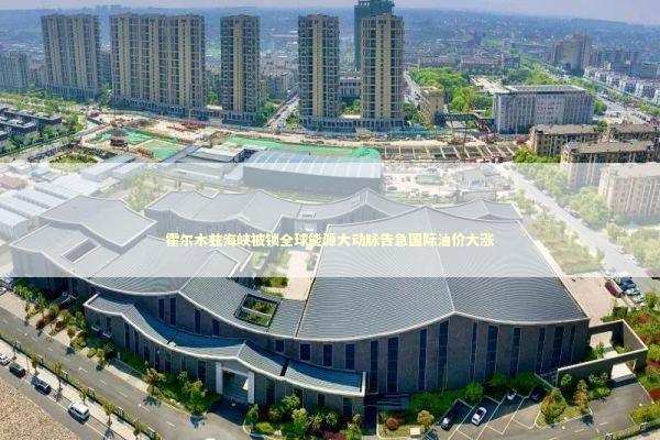 霍尔木兹海峡被锁全球能源大动脉告急国际油价大涨