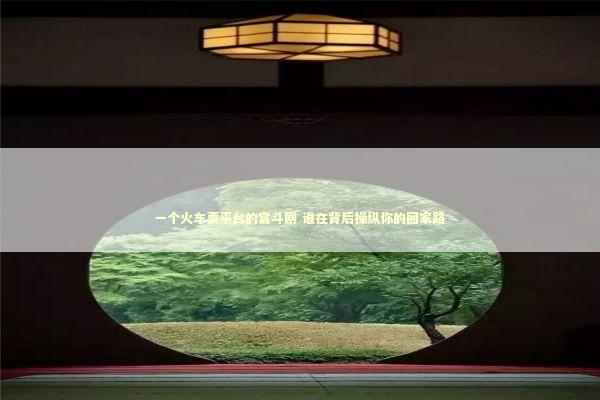 一个火车票平台的宫斗剧 谁在背后操纵你的回家路