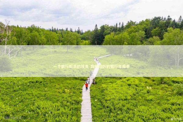 一个银行柜员的视角 我所经历的银行年报季