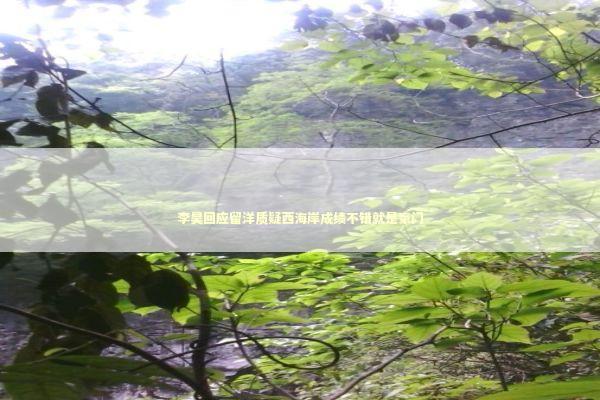 李昊回应留洋质疑西海岸成绩不错就是豪门