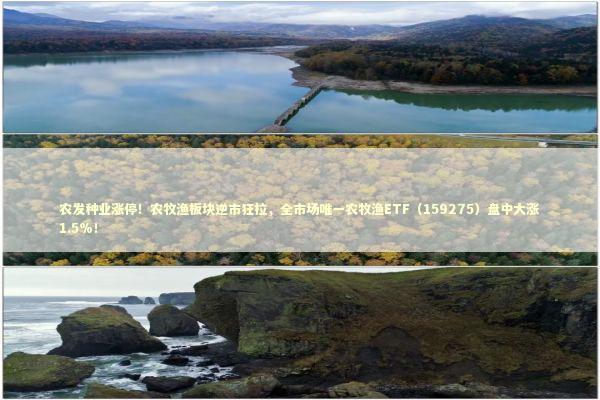 农发种业涨停！农牧渔板块逆市狂拉，全市场唯一农牧渔ETF（159275）盘中大涨1.5%！
