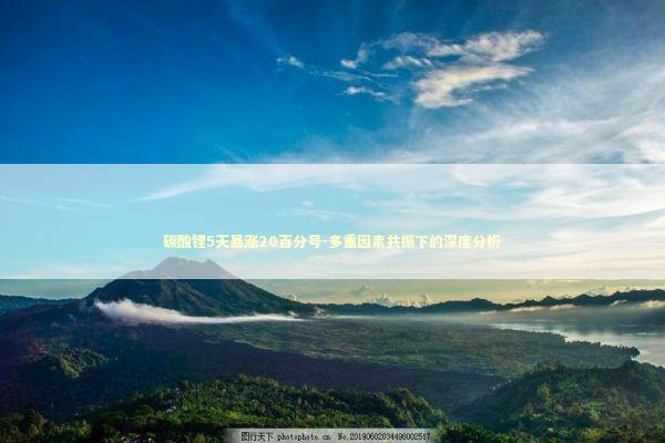 碳酸锂5天暴涨20百分号-多重因素共振下的深度分析