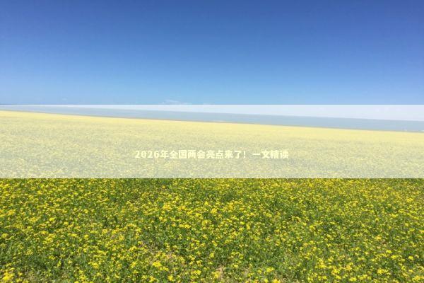 2026年全国两会亮点来了！一文精读