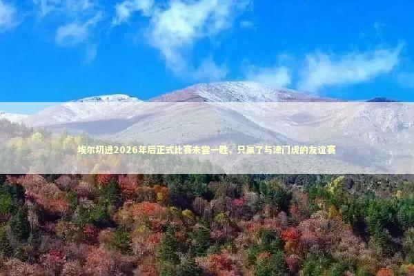 埃尔切进2026年后正式比赛未尝一胜，只赢了与津门虎的友谊赛