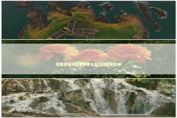 招银金租迎新董事来自总行授信审批部