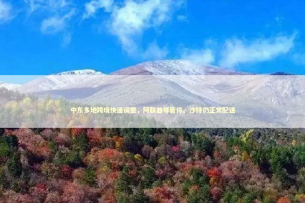 中东多地跨境快递调整，阿联酋等暂停、沙特仍正常配送