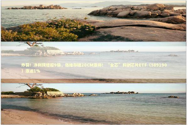 炸裂！净利预增超9倍，佰维存储20CM涨停！“全芯”科创芯片ETF（589190）涨逾1%