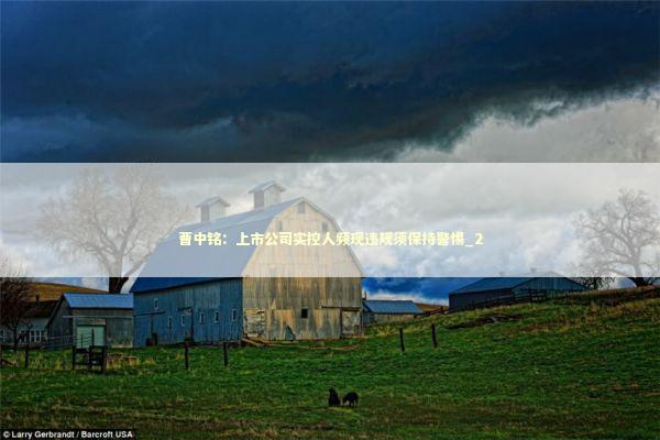 曹中铭：上市公司实控人频现违规须保持警惕_2