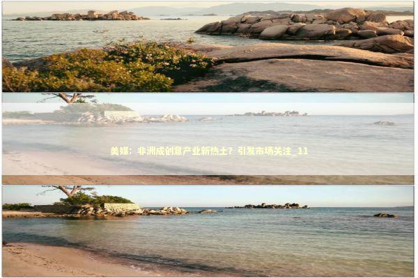 美媒：非洲成创意产业新热土？引发市场关注_11