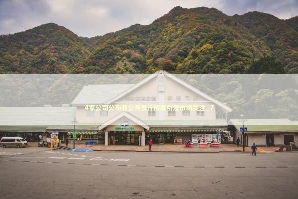 4家公司公布非公开发行预案引发市场关注_7