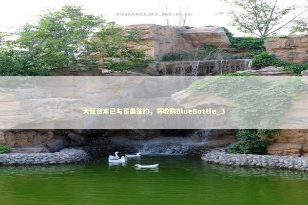 大钲资本已与雀巢签约，将收购BlueBottle_3