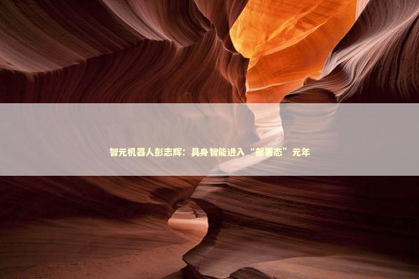 智元机器人彭志辉：具身智能进入“部署态”元年