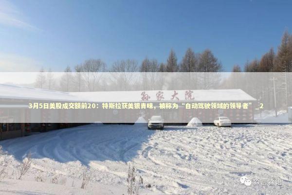 3月5日美股成交额前20：特斯拉获美银青睐，被称为“自动驾驶领域的领导者”_2