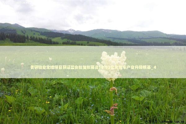 贵研铂业定增项目获证监会批复拟募资12.91亿元筑牢产业升级根基_4