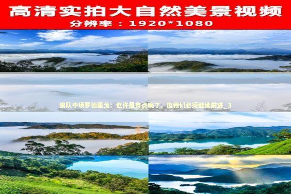 狼队中场罗德里戈：也许是有点晚了，但我们必须继续前进_3