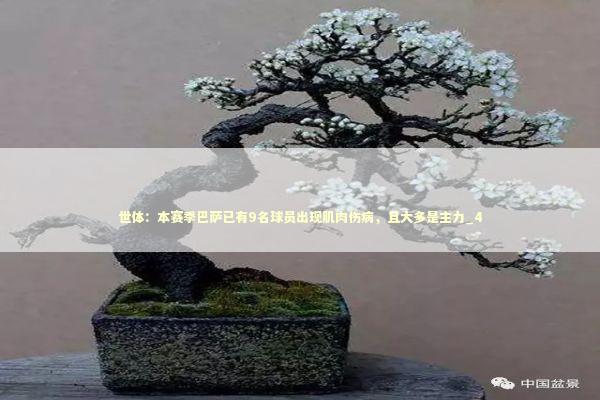 世体：本赛季巴萨已有9名球员出现肌肉伤病，且大多是主力_4