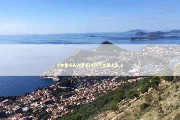 华尔街多头仍押注2026年美股上涨_5