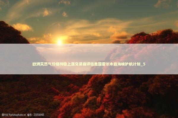 欧洲天然气价格持稳上涨交易商评估美国霍尔木兹海峡护航计划_5